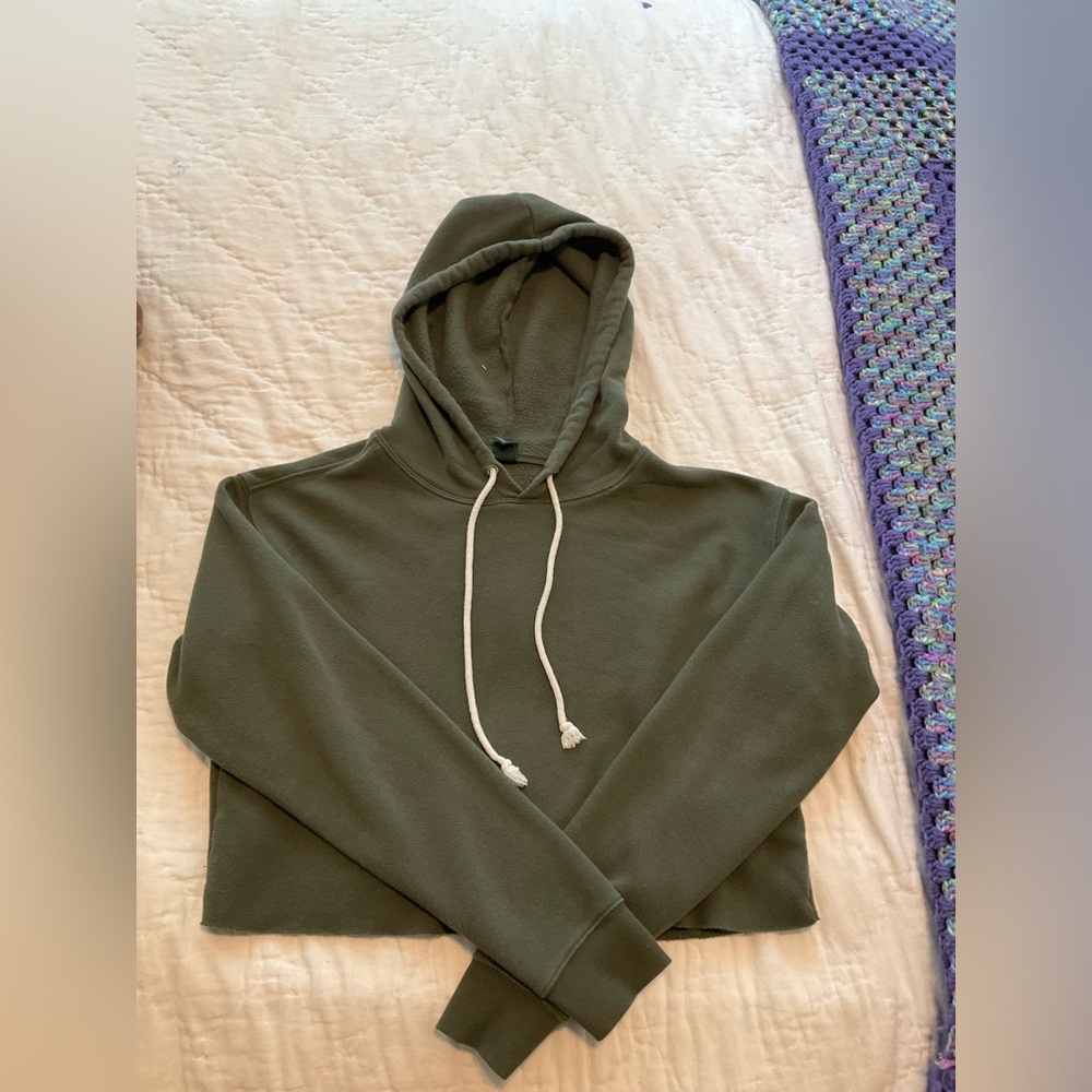 Wild fable green croped sweater